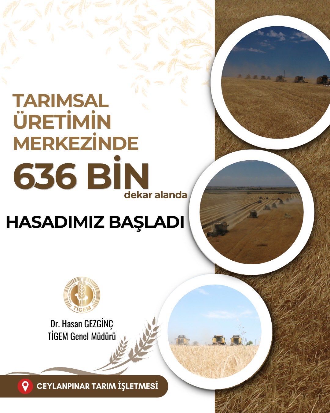 636 Bin Dekarda Hasat