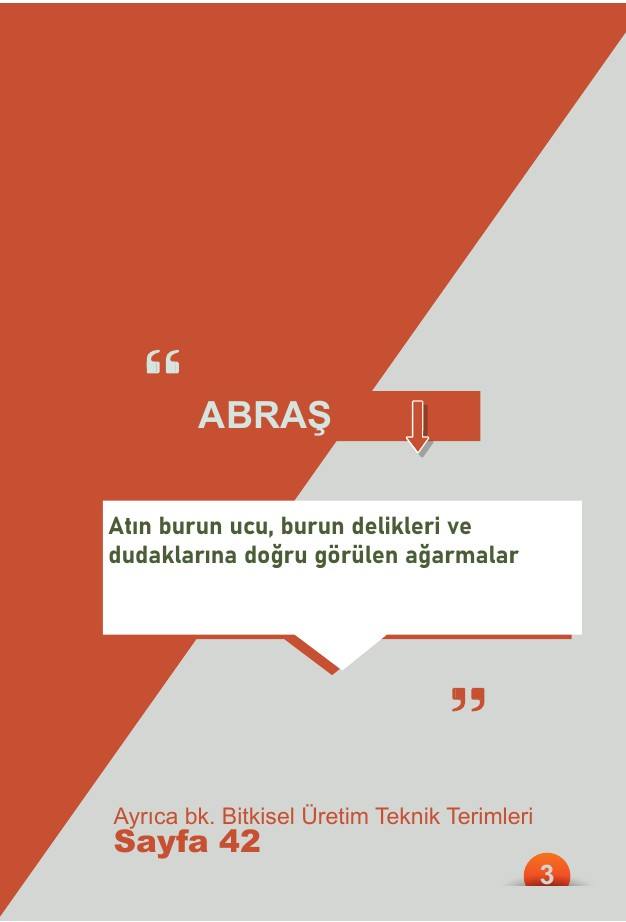 Sözlük iç sayfa