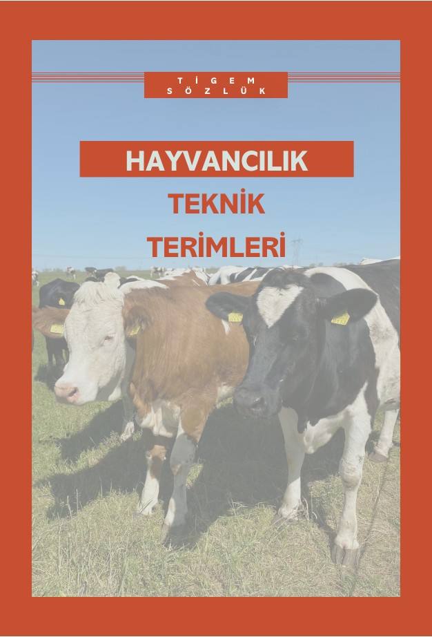 Sözlük bölüm kapağı