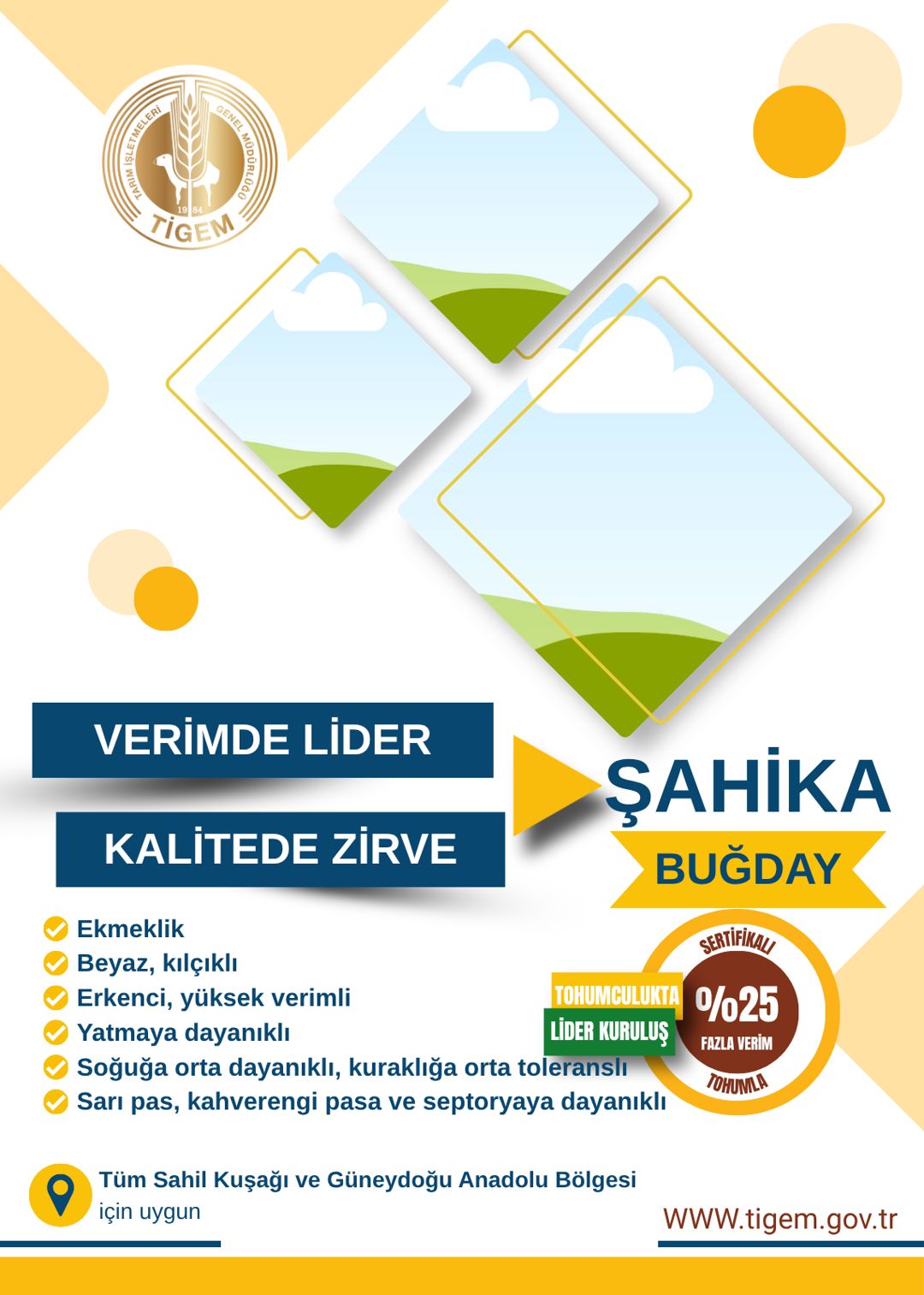 Şahika Buğday