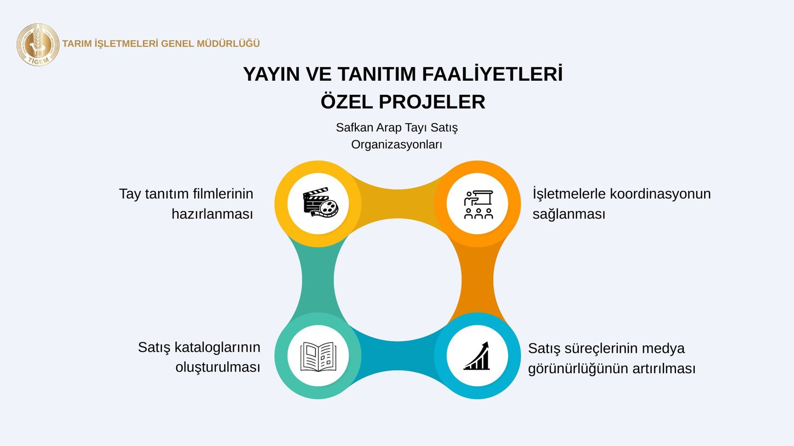 Sunum slaytı: Özel Projeler